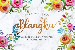 Blangku: A Hand-Drawn Font That Brings Fluidity to Modern Design