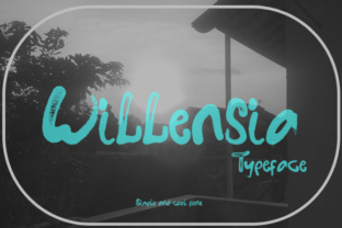 Willensia: A Typeface That Balances Character and Clarity for Modern Creators